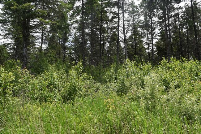9197 Fedyn Rd, House other with 4 bedrooms, 3 bathrooms and null parking in Ladysmith WI | Image 38