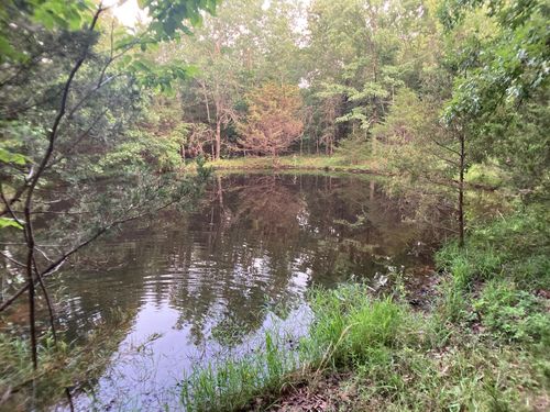 59-000 Saint George Rd, Hartville, MO, 65667 | Card Image