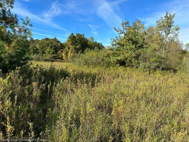 000 Wildcat Rd, Home with 0 bedrooms, 0 bathrooms and null parking in Jeddo MI | Image 11