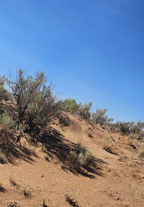 TBD Dalies Rd, Los Lunas, NM, 87031 | Card Image