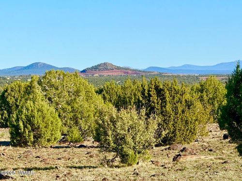TBD Mustang Ln Lots F &Amp; H 5.5 Acre, Show Low, AZ, 85901 | Card Image