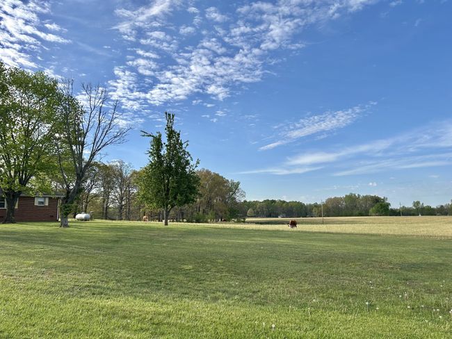 1110 Pomroy Rd, House other with 3 bedrooms, 2 bathrooms and 2 parking in Manchester TN | Image 9