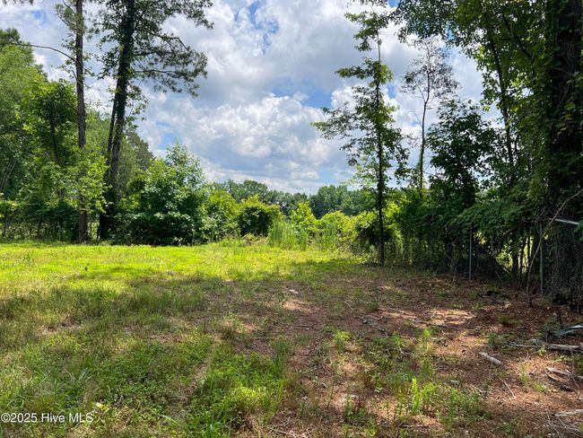 3330 Mccaskey Rd, Home with 0 bedrooms, 0 bathrooms and null parking in Williamston NC | Image 20