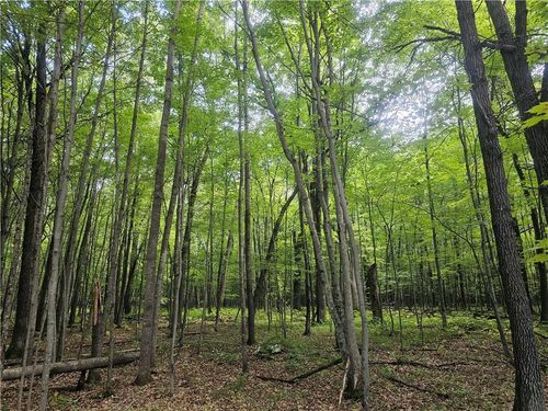 Lot 6 County Road A, Webster, WI, 54893 | Card Image