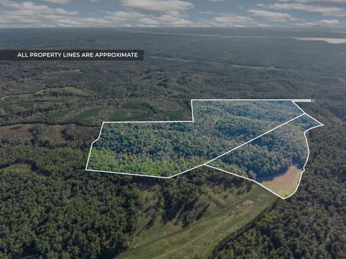 0 Cox Hollow Rd, Dover, TN, 37058 | Card Image