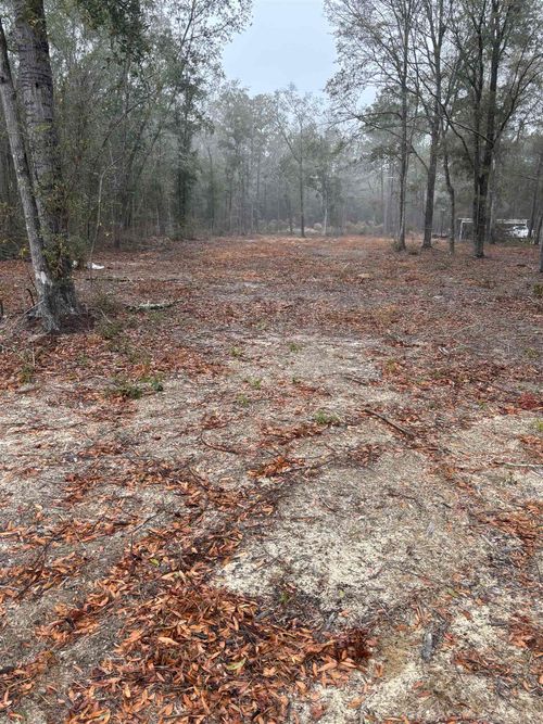 TBD Pleasantdale Rd., Nichols, SC, 29581 | Card Image