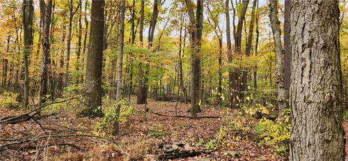 0 33rd St, Stahlstown, PA, 15687 | Card Image