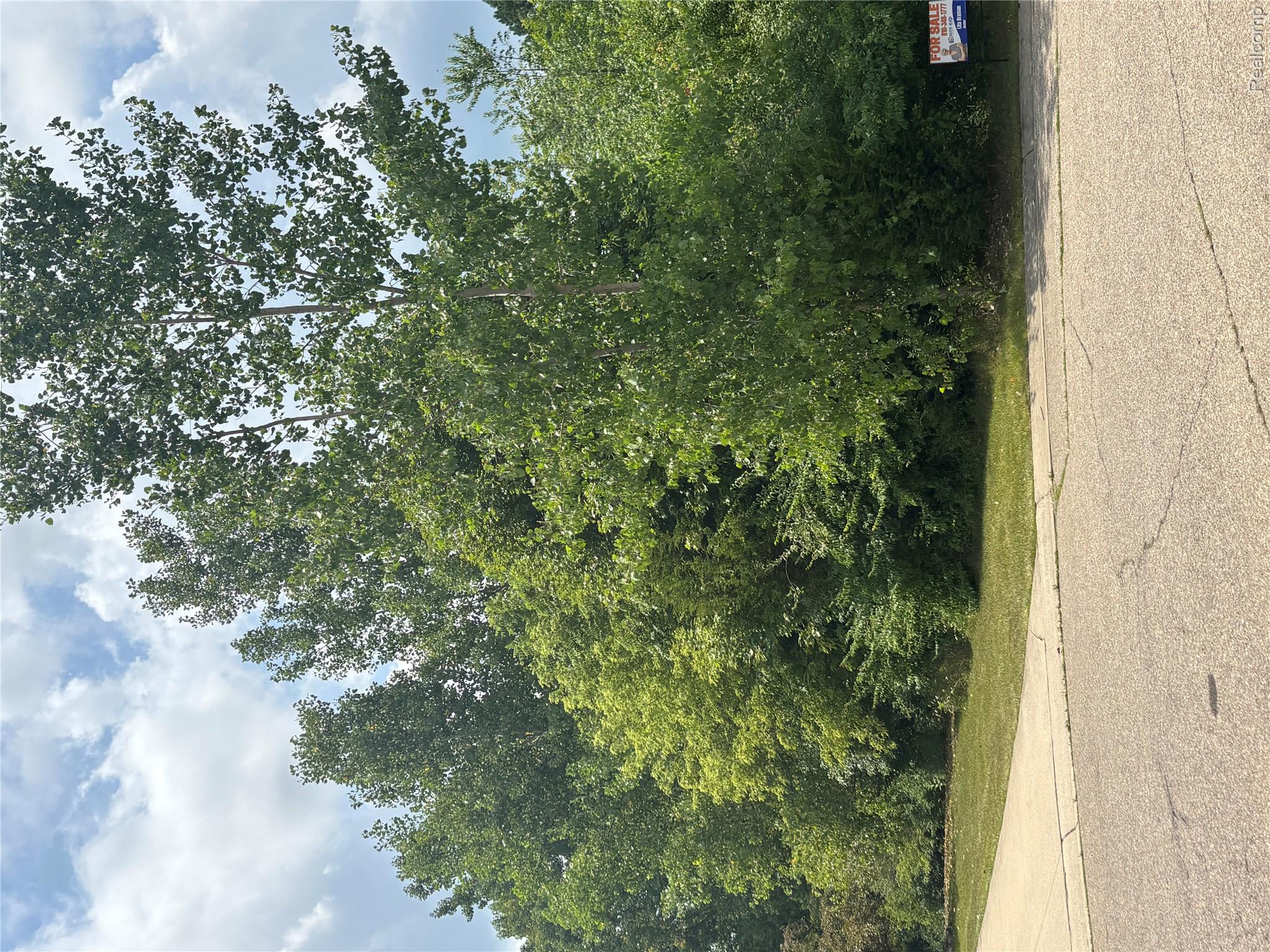 Land in Flushing Charter Township 2