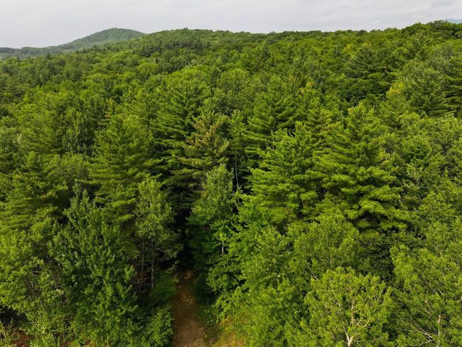 Lot 4 Piney Grove Ln, Home with 0 bedrooms, 0 bathrooms and null parking in Underhill VT | Image 17