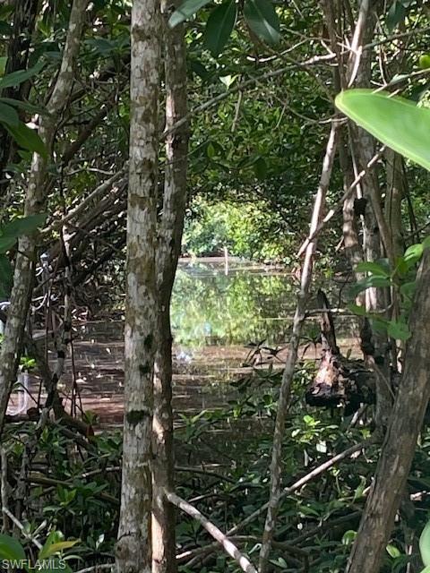 Land in EVERGLADES CITY 3