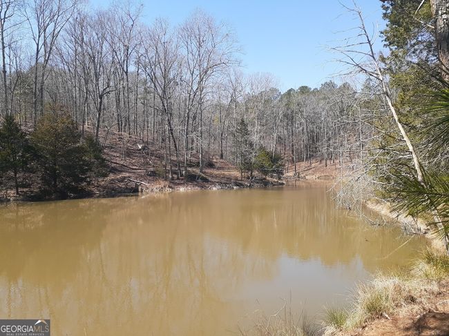 1368 Wash Brown Dr, Home with 0 bedrooms, 0 bathrooms and null parking in Elberton GA | Image 26