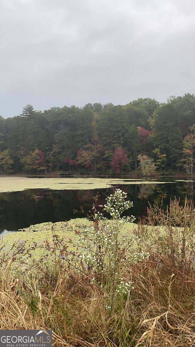 315 Amelia Dr, House other with 3 bedrooms, 2 bathrooms and 4 parking in Ellijay GA | Image 33