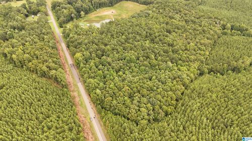 metes-and-bounds-0 County Road 33, Fruithurst, AL, 36262 | Card Image