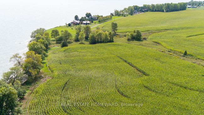 138 Jarvis Lane, Home with 0 bedrooms, 0 bathrooms and null parking in Picton ON | Image 7