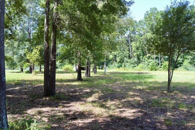 25642 Cambridge Blvd, Home with 0 bedrooms, 0 bathrooms and null parking in New Caney TX | Image 4