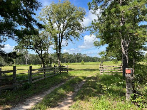 18288 Fm 1774, Plantersville, TX, 77363-8560 | Card Image