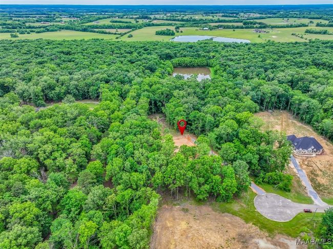 181 Hickory Hollow Ln, Home with 0 bedrooms, 0 bathrooms and null parking in Cecil AL | Image 8