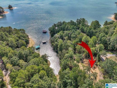 22-Lot 22 County Road 875, Crane Hill, AL, 35053 | Card Image