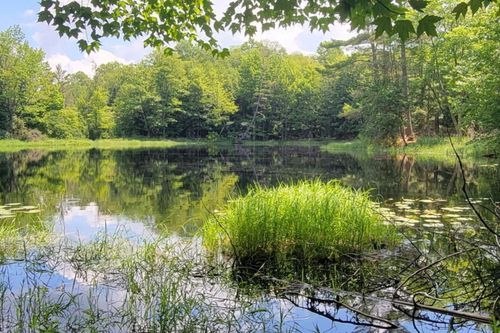 Lot #2 Moonshine Valley Rd, Presque Isle, WI, 54557 | Card Image
