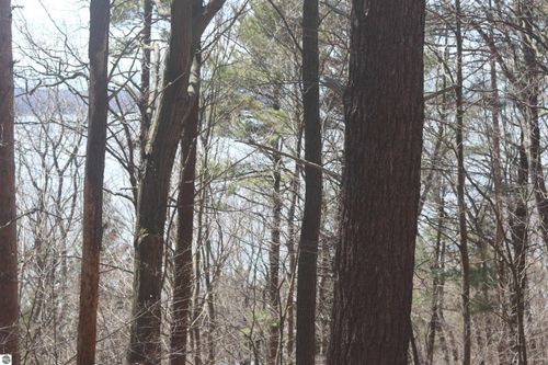 lot 5 Crystal View Cmns, Beulah, MI, 49617 | Card Image