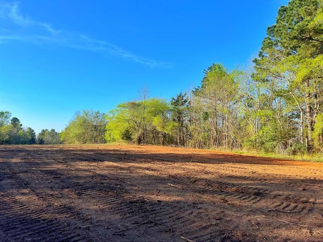 99 Cr 2107, Home with 0 bedrooms, 0 bathrooms and null parking in Rusk TX | Image 22