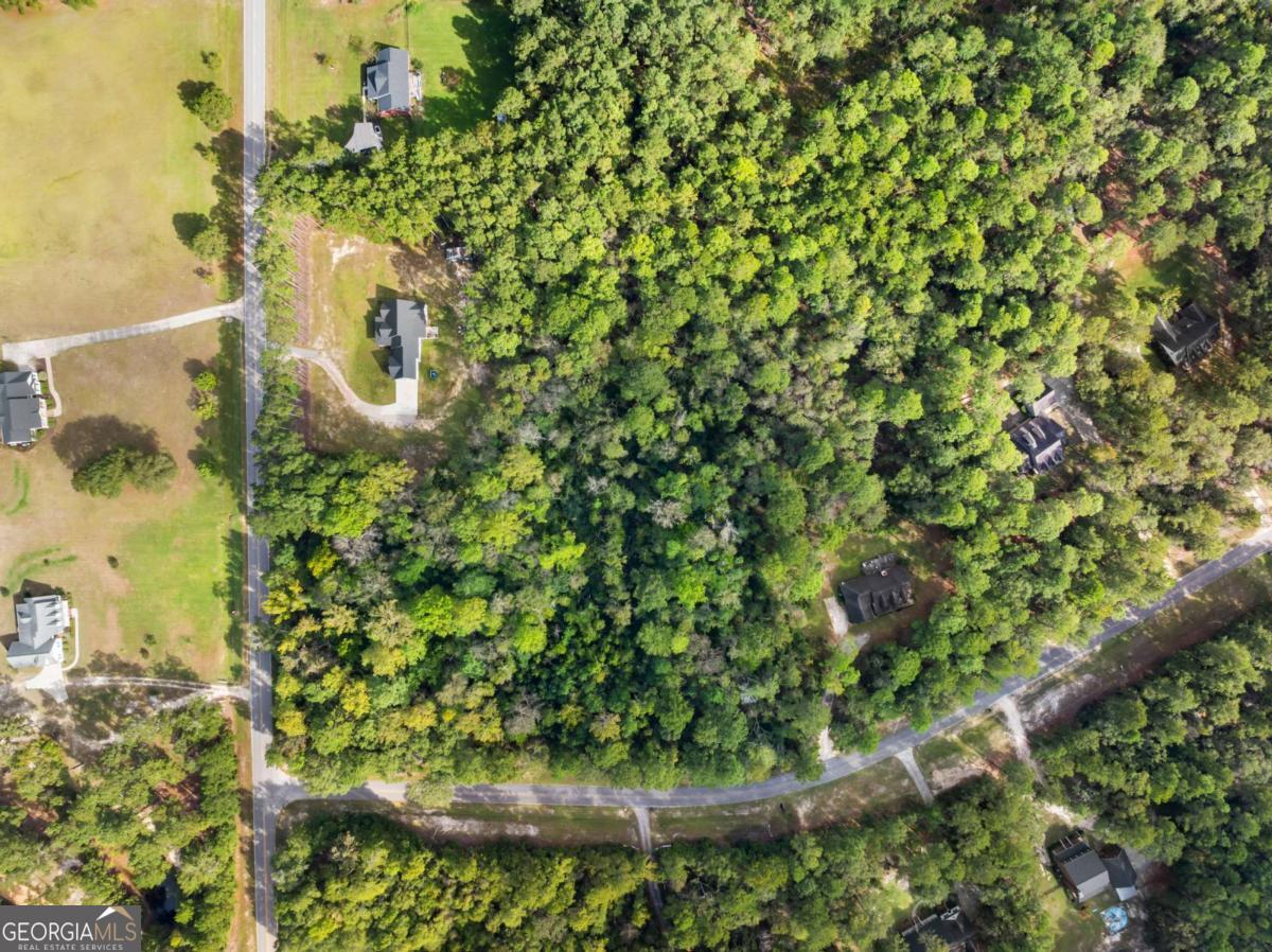 Land in Statesboro 4