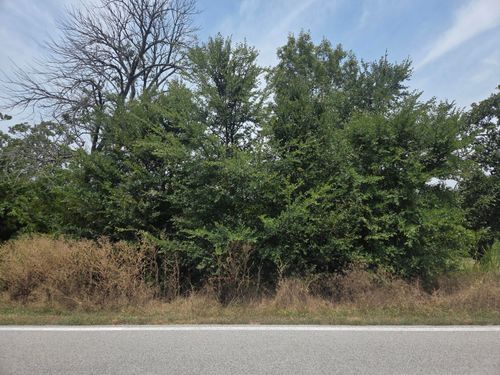 Lot 175 Black Forest Ln, Branson West, MO, 65737-7818 | Card Image
