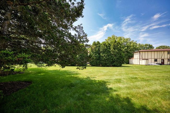View of grassy yard | Image 25