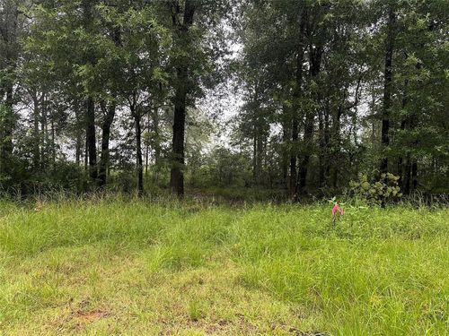 258 Vine Arbor Dr, Livingston, TX, 77351-6240 | Card Image
