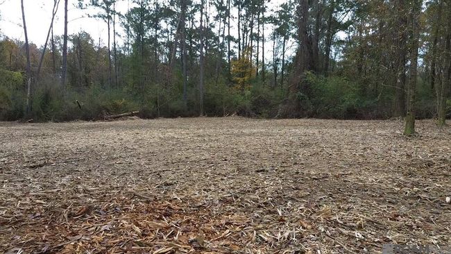 Parcel 2-A Hano Rd, Home with 0 bedrooms, 0 bathrooms and null parking in Independence LA | Image 6