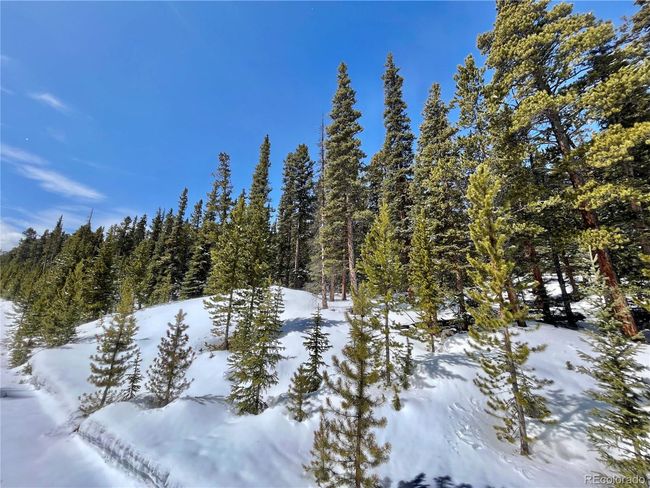 676 Dry Gulch Rd, Home with 0 bedrooms, 0 bathrooms and null parking in Fairplay CO | Image 34