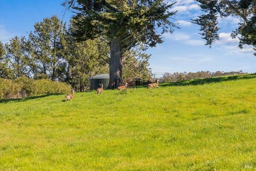 511 Fairview Ct, Petaluma, CA, 94952-1665 | Card Image