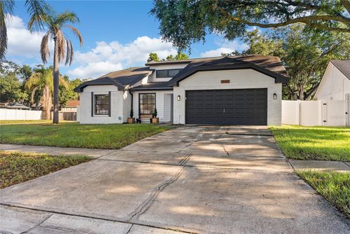 12202 Wildbrook Drive, RIVERVIEW, FL, 33569 | Card Image