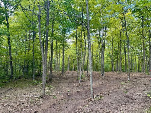 TBD County Road 157 Ne, Remer, MN, 56672 | Card Image