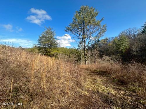 000 Leatherwood Rd, Sevierville, TN, 37876 | Card Image