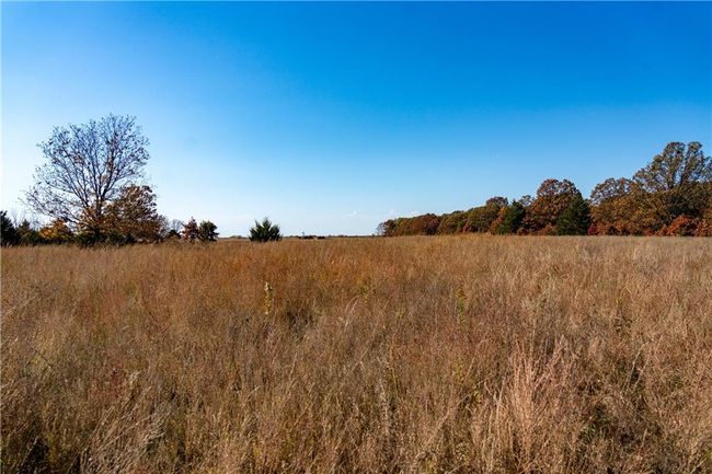 11999 - 11201-11999 Se 700 Rd, Home with 0 bedrooms, 0 bathrooms and null parking in Weaubleau MO | Image 12