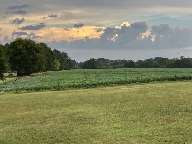 118 Beartown Rd, House other with 3 bedrooms, 2 bathrooms and 4 parking in Loretto TN | Image 11