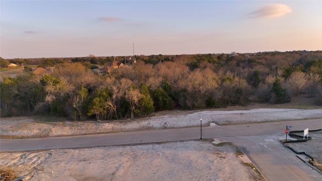 4810 Azalea Way, Home with 0 bedrooms, 0 bathrooms and null parking in Midlothian TX | Image 4
