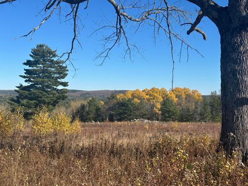 Lot 14-1 Tourtelotte Ridge Rd, Mariaville, ME, 04605 | Card Image