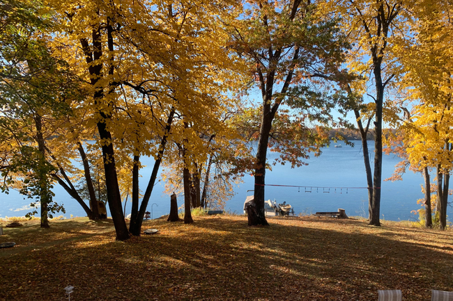 Fall Color | Image 42