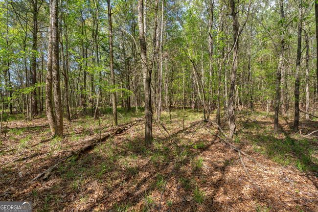 0 Skull Shoals Rd, Home with 0 bedrooms, 0 bathrooms and null parking in Washington GA | Image 10
