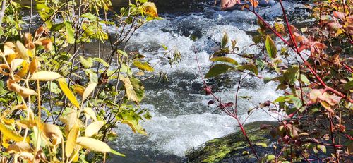 19845 Cinder Pit Rd, Hat Creek, CA, 96040 | Card Image