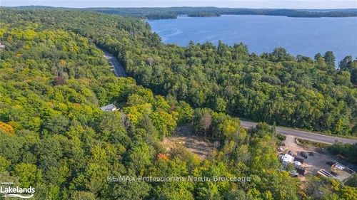 1205 Little Hawk Lake Rd, Algonquin Highlands, ON, K0M1S0 | Card Image