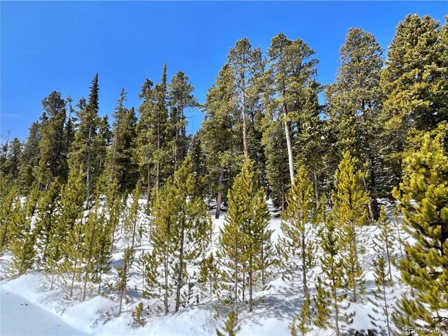 676 Dry Gulch Rd, Home with 0 bedrooms, 0 bathrooms and null parking in Fairplay CO | Image 36