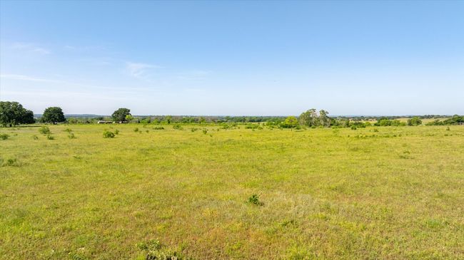 More pasture | Image 24