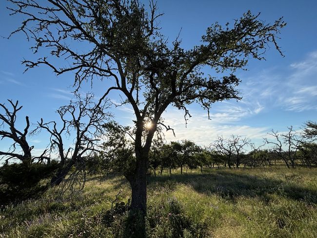 20 - 183 Lipan Loop Nw, Home with 0 bedrooms, 0 bathrooms and null parking in Harper TX | Image 4