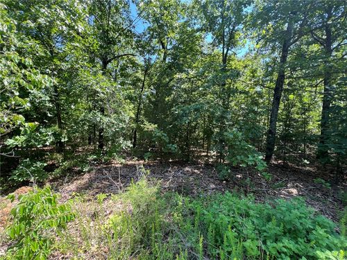 TBD Saddle View Drive, Yellville, AR, 72687 | Card Image