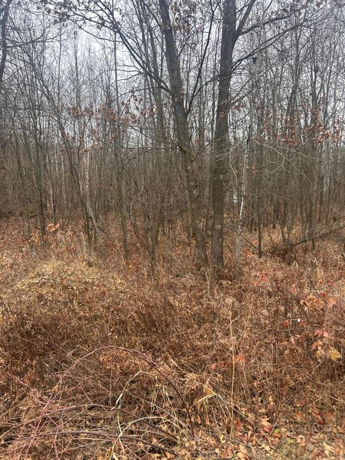 TBDx Lake Camile, Randall, MN, 56475 | Card Image