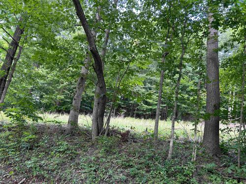 Lot 4 E Run Cir, Farmington, WV, 26571 | Card Image