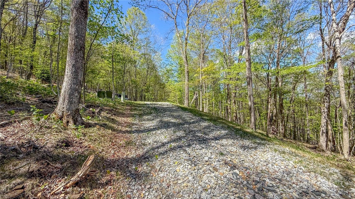 Land in West Jefferson 5